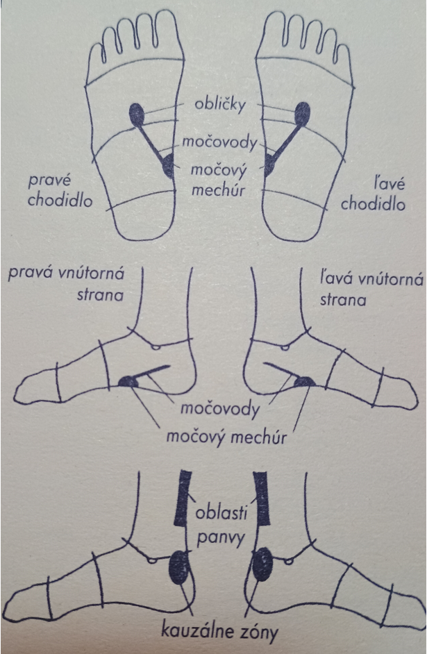 Reflexná masáž chodidiel - Január - močový mechúr