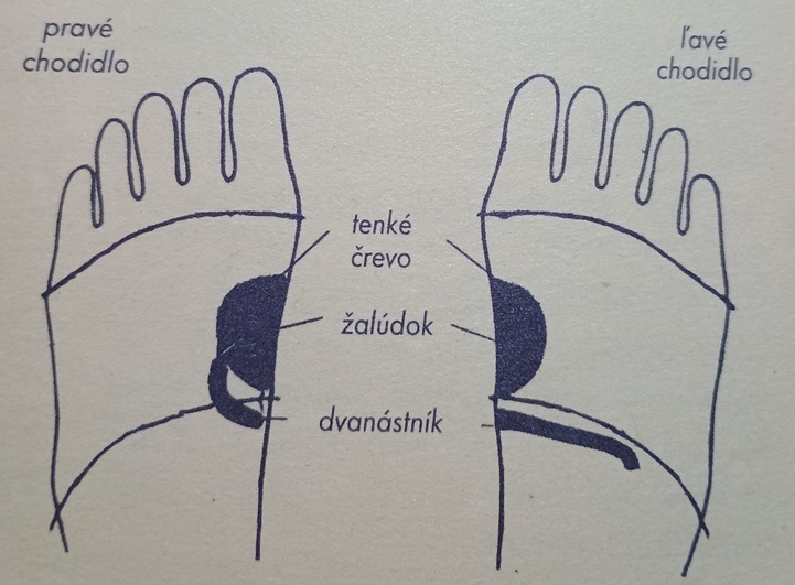 Reflexná masáž chodidiel - Jún - tenké črevo